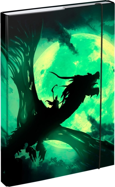 Teczki na zeszyty A4 z motywem smoka BAAGL