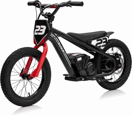 Moto elettrica per bambini Hollicy Cars Baigor 23