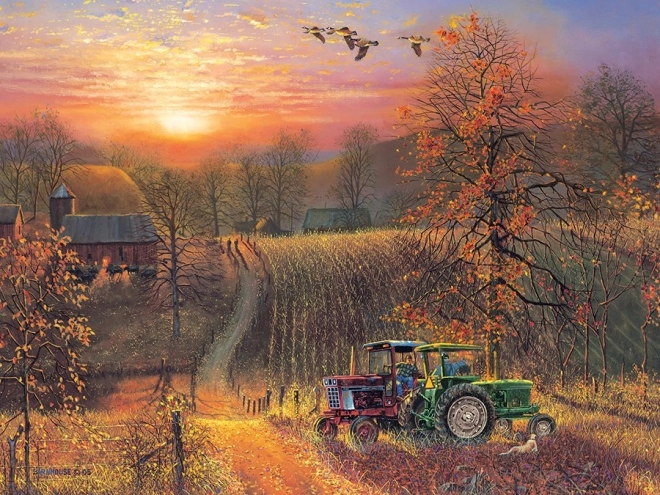 Puzzle COBBLE HILL Odmor XL 275 kosov