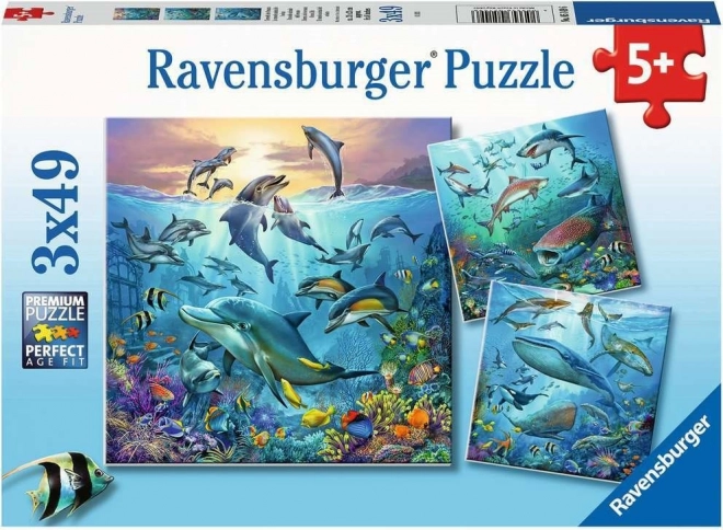 RAVENSBURGER Puzzle Ozeantiere 3×49 Teile