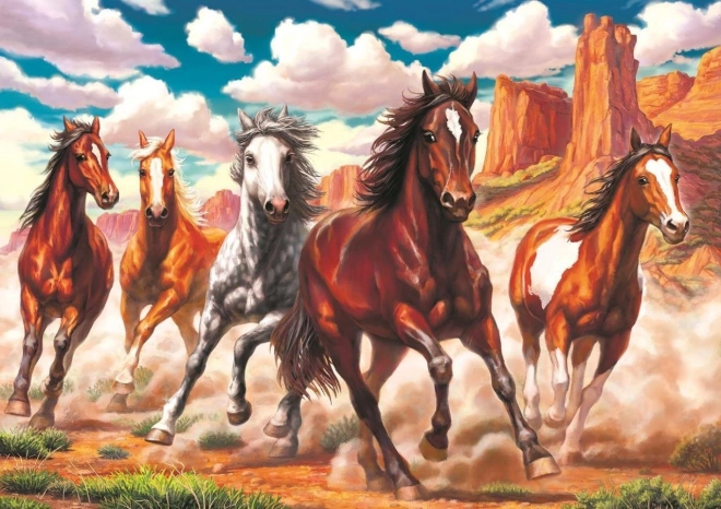 Puzzle Wild Horses in the Valley 1000 pieces