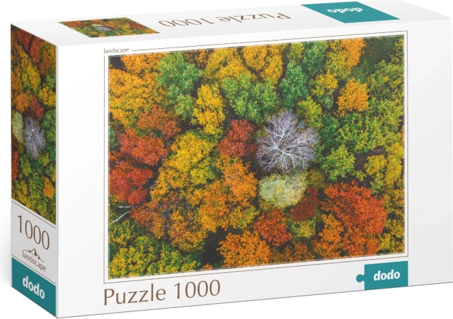 Puzzle DODO Dzembronya, Oekraïne – 1000 stukjes
