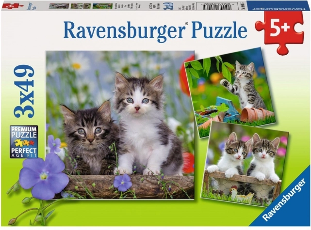 Ravensburger puzzle gattini 3×49 pezzi