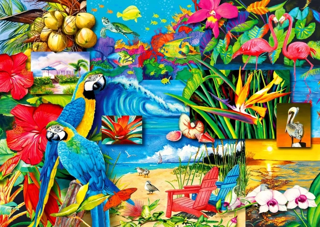 Enjoy the Tropical Treasures Puzzle 1000 pieces