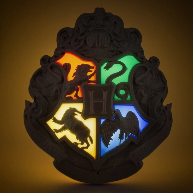 Luce Hogwarts con bacchetta magica