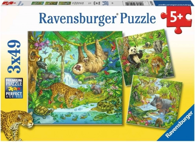 RAVENSBURGER puzzle Živali v džungli 3x49 kosov