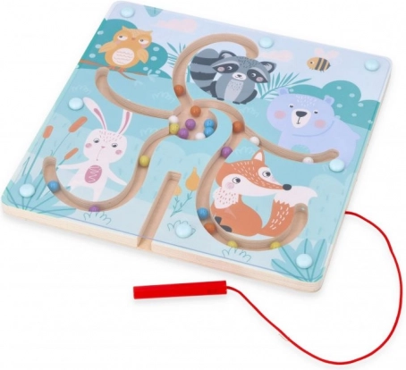 Labirinto magnetico – bosco