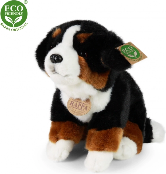 pluchen Berner Sennenhond 25 cm – RAPPA (eco‑friendly)