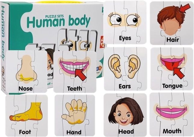 Læringspuslespil – kropsdele, 10 par, engelske ord