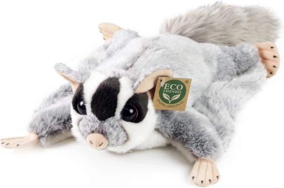 Pluchen suikereekhoorn (vliegende eekhoorn)