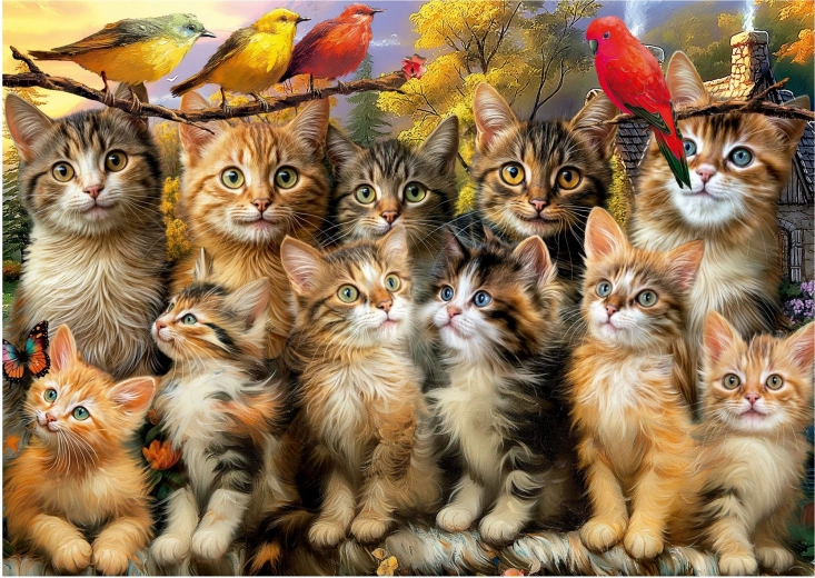 Puzzle Cats and Birds 500 Pieces