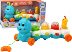 Bunte Zieh-Raupe mit Lichtern und Geräuschen