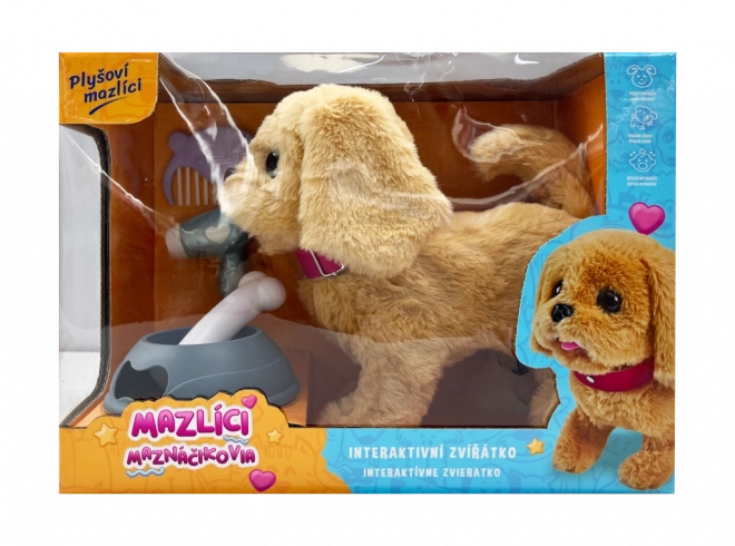 Pet Play Set – Beige Puppy Alík