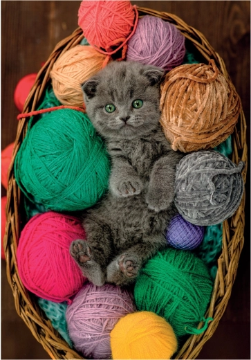 Puzzle chaton duveteux 500 pièces CLEMENTONI