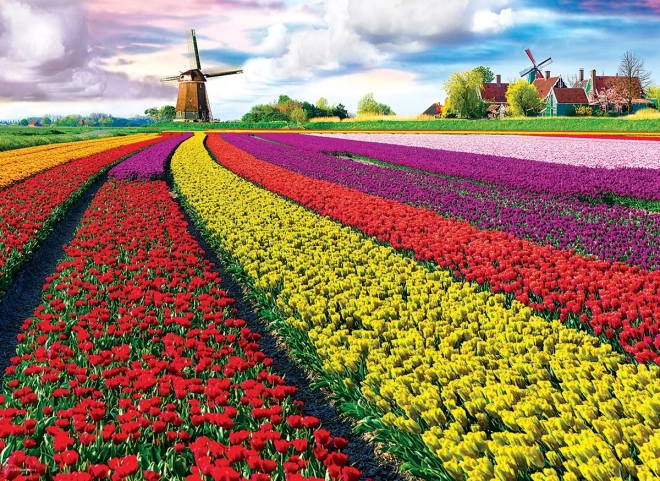 EUROGRAPHICS puzzel tulpenveld – 1000 stukjes