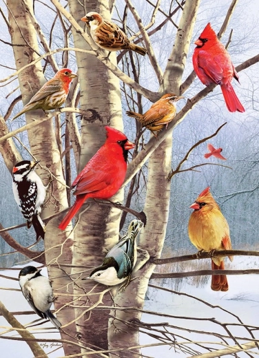 Puzzle Birds in Winter 1000 Pieces