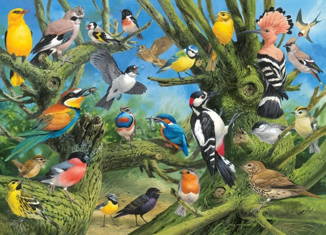 EUROGRAPHICS puzzle Birds in the Garden – 1000 pieces