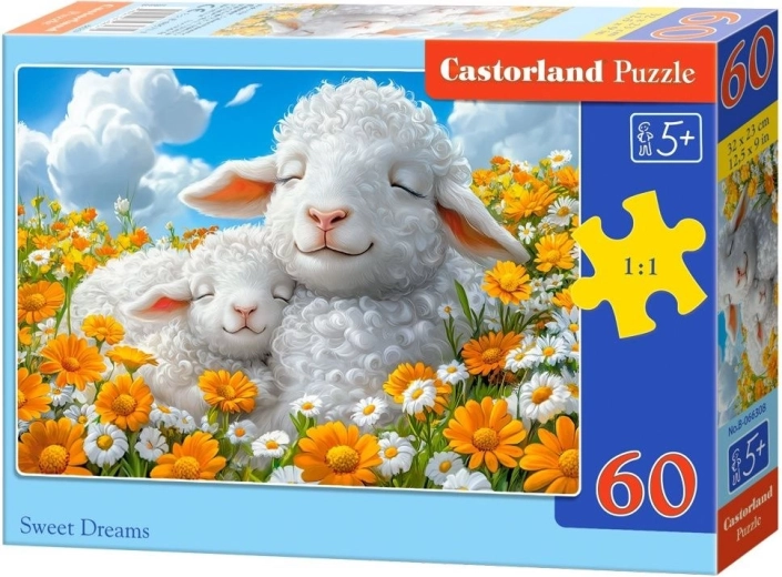 Castorland puzzle Sladko sanjanje 60 kosov
