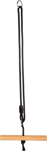 Trapeze Swing Black Line