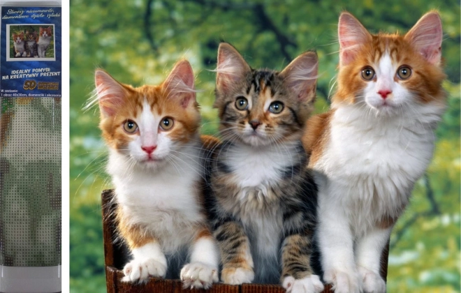 Diamond Painting Cats 30x40 cm