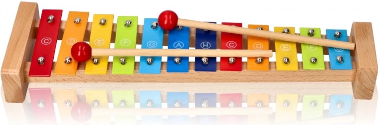 Goki xylophone with songbook Rainbow