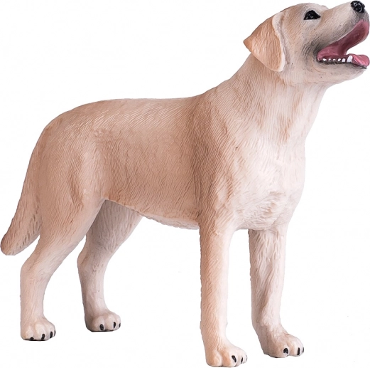 Figura realistica Labrador