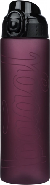 Baagl Trinkflasche aus Tritan Ruby 700 ml