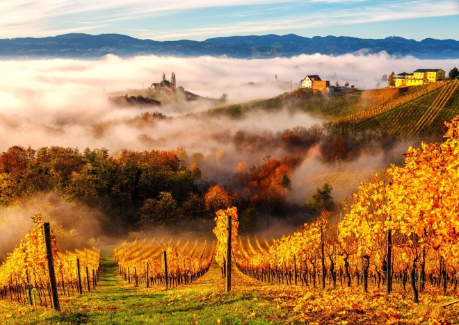 Enjoy puzzle In the Vineyard 1000 pieces