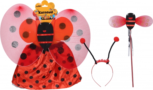 Ladybug Carnival Costume