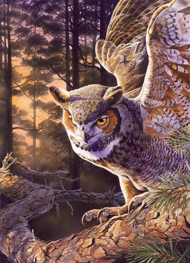 Puzzle Evening Hunter 1000 Pieces