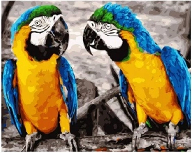 Diamantmaling Papegøjer 30 × 40 cm