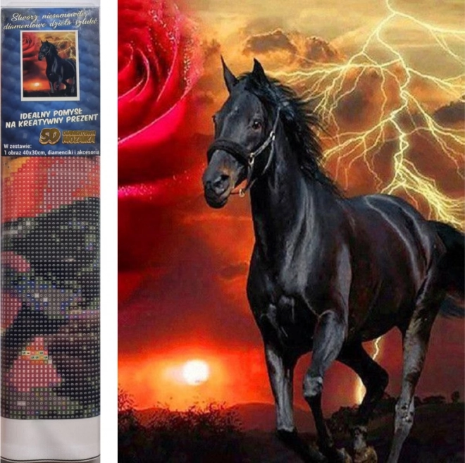 Sæt til diamantmaling - sort hingst