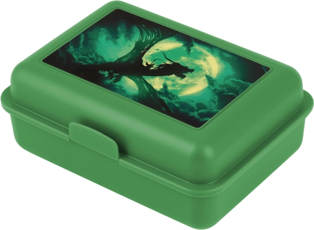 Lunchbox met Drakenmotief