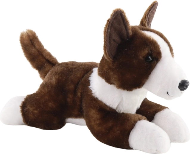 Plysbullterrier engelsk 26 cm