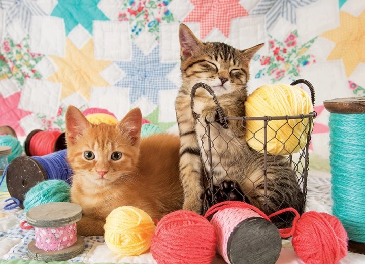 Puzzle Soft Balls 1000 Pieces