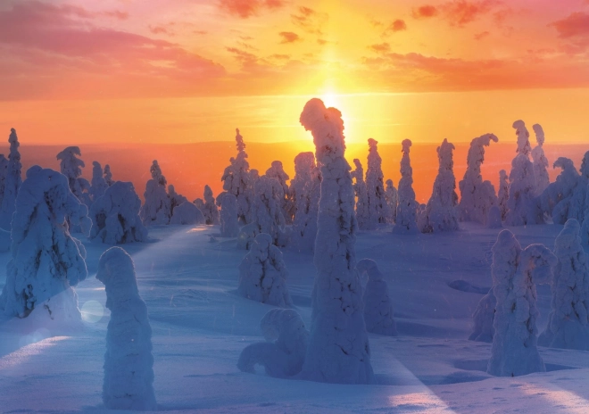 Puzzle Nature finlandaise 1000 pièces