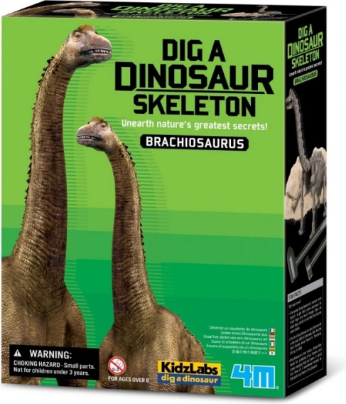 Kit de fouilles - Brachiosaurus