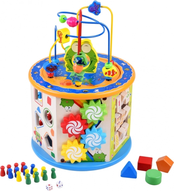 Wooden Educational Cube 8in1