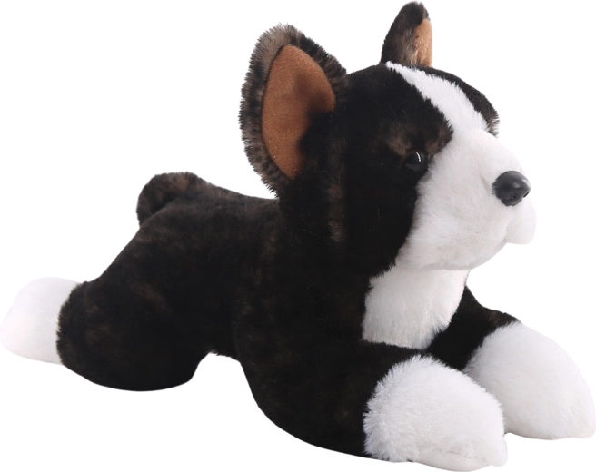 Plysbostonterrier 25 cm