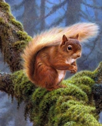 Diamond painting – egern på gren 30 × 40 cm