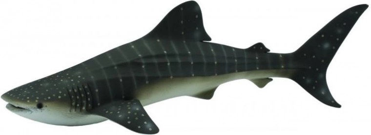 Collecta Whale Shark – figurine