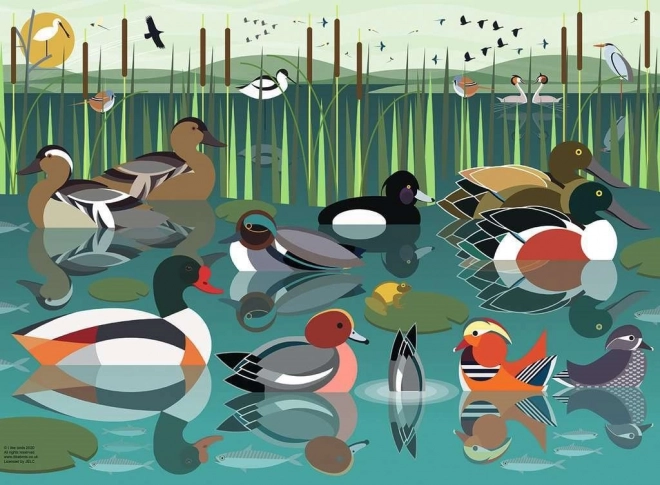 Ravensburger puzzel Ik hou van watervogels 500 stukjes