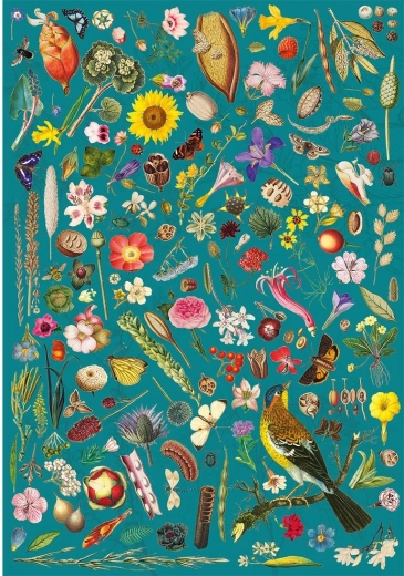 Flower Fantasy Puzzle 500 Pieces