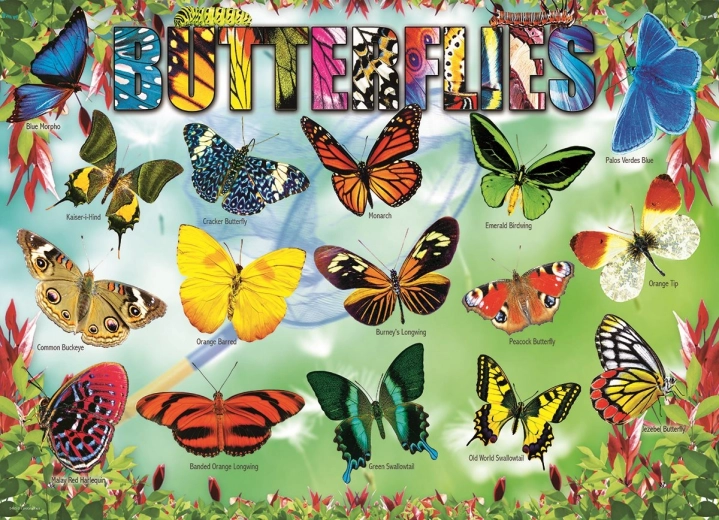 EUROGRAPHICS Puzzle Garden Butterflies 100 pieces