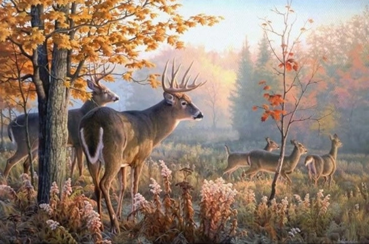 Diamond Painting Deer in the Morning Mist 30x40 cm