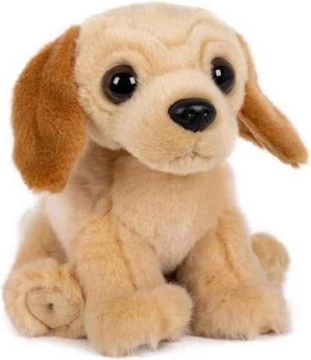 Labrador en peluche assis 15 × 17 cm