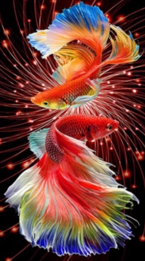 Diamantmalerei Goldfisch 30 × 40 cm