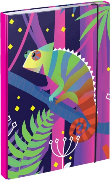 A4 Notebook Folder Chameleon BAAGL
