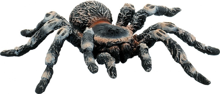 Fehér tarantula