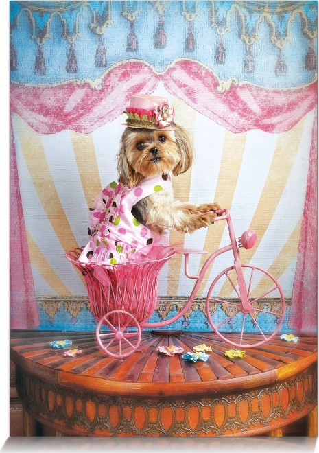 Puzzel Dromerige Reiziger 500 Stukken